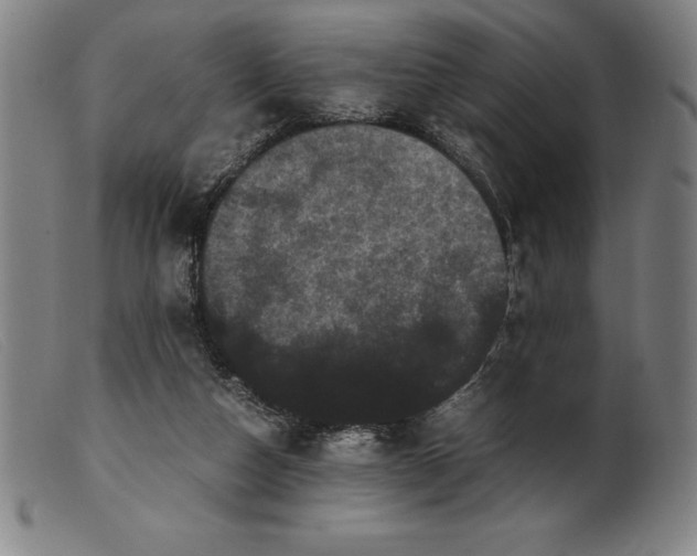 X0000099470162200805231839