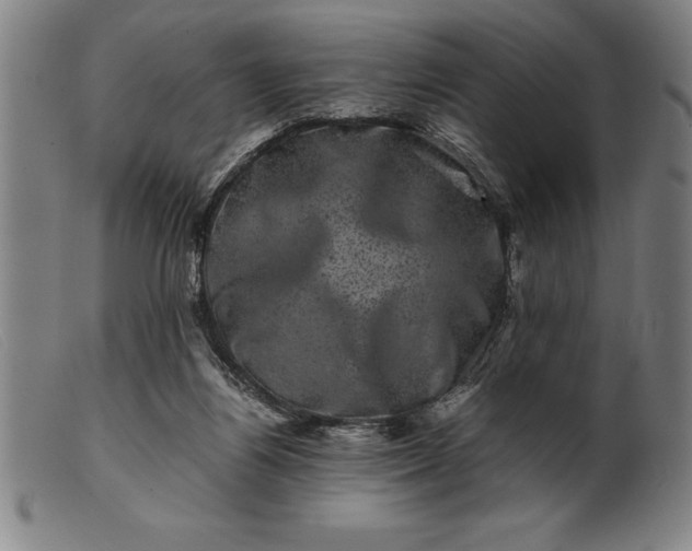 X0000099470164200805231839