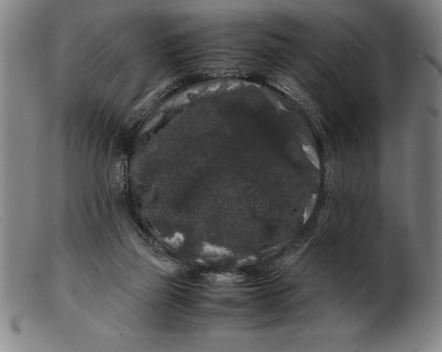 X0000099470165200805231839