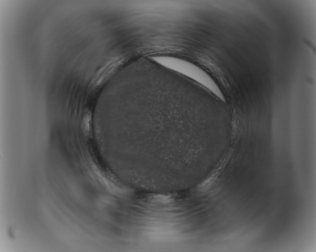 X0000099470166200805231839