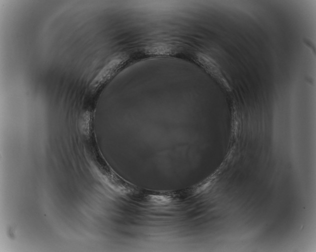 X0000099470167200805231839