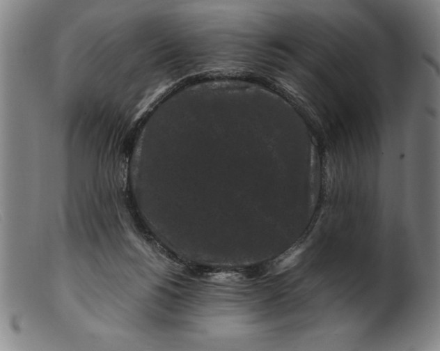 X0000099470168200805231839