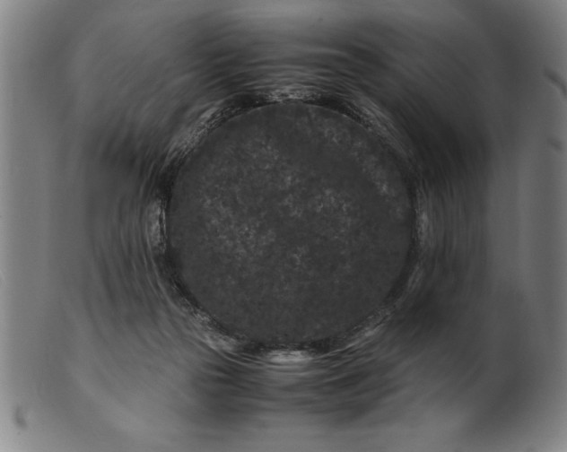 X0000099470169200805231839