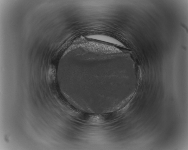 X0000099470174200805231839