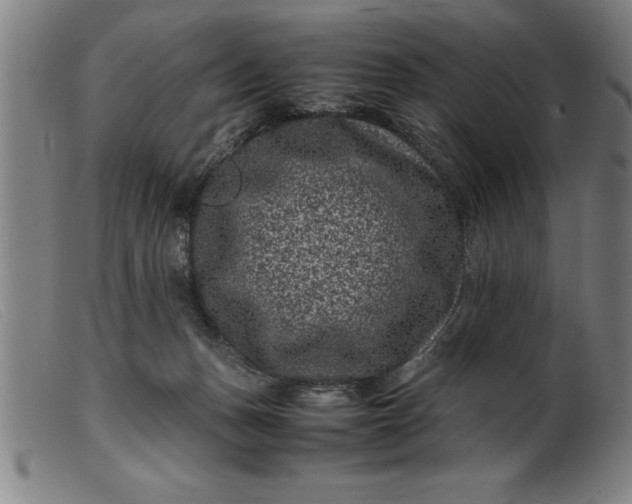 X0000099470175200805231839