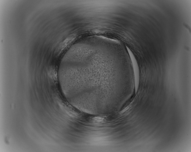 X0000099470176200805231839