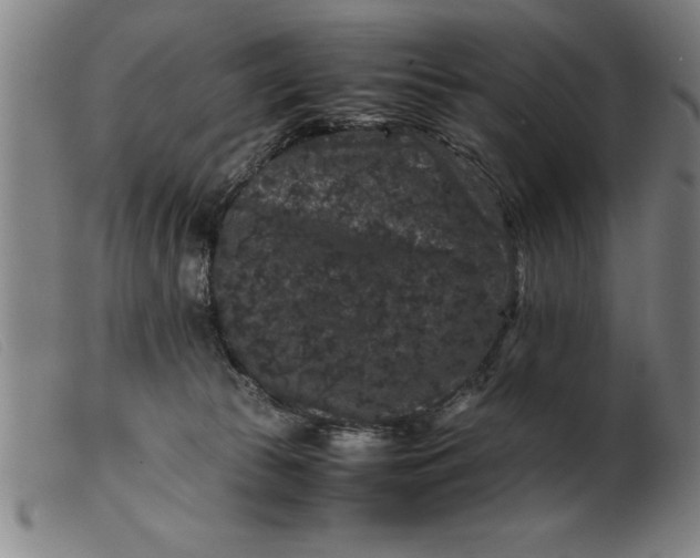 X0000099470177200805231839