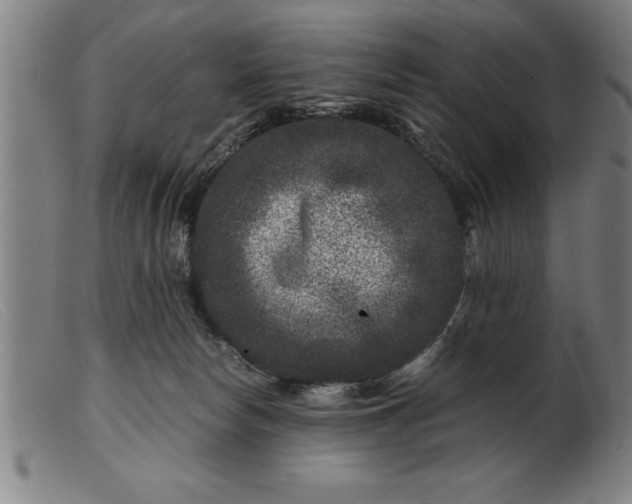 X0000099470178200805231839