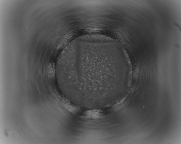 X0000099470179200805231839