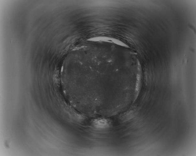 X0000099470181200805231839