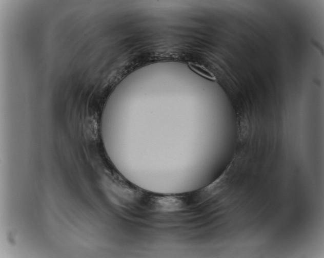 X0000099470183200805231839