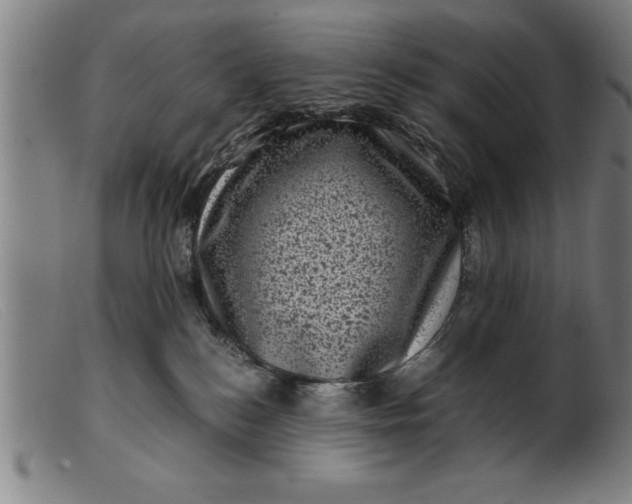 X0000099470184200805231839