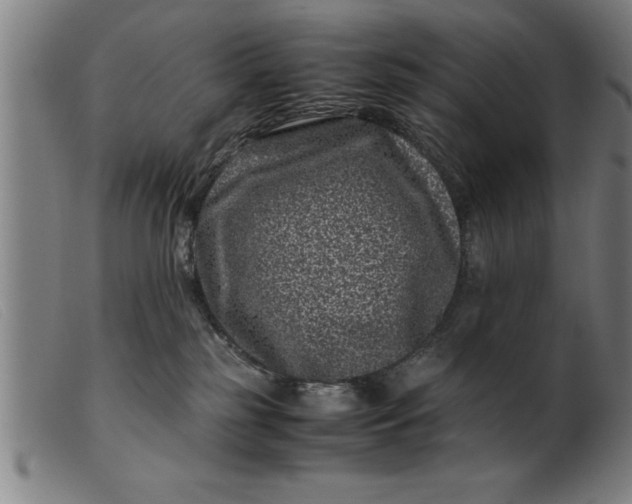 X0000099470185200805231839