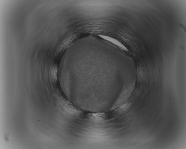 X0000099470188200805231839