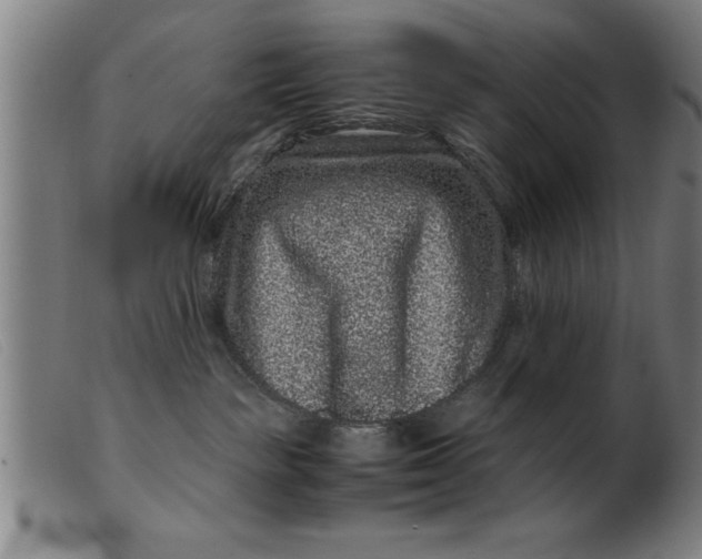 X0000099470189200805231839