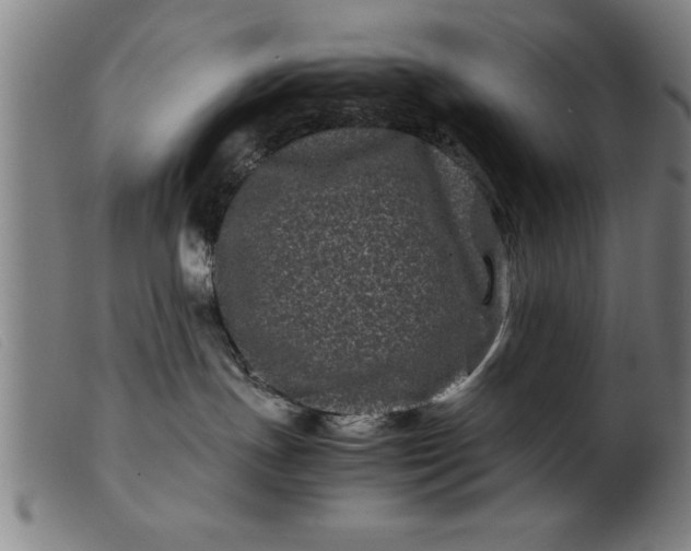 X0000099470191200805231839