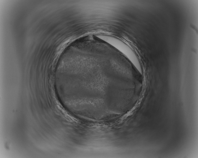 X0000099470193200805231838