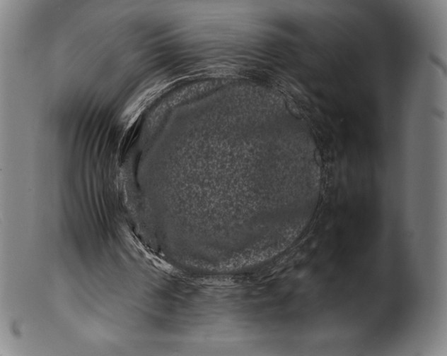 X0000099470194200805231838