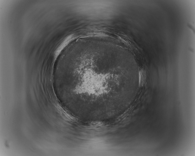 X0000099470195200805231838