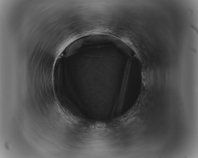 X0000099470196200805231838