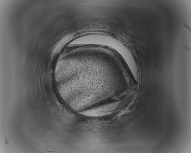 X0000099470197200805231838