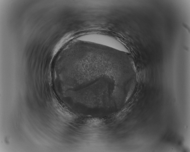 X0000099470198200805231838