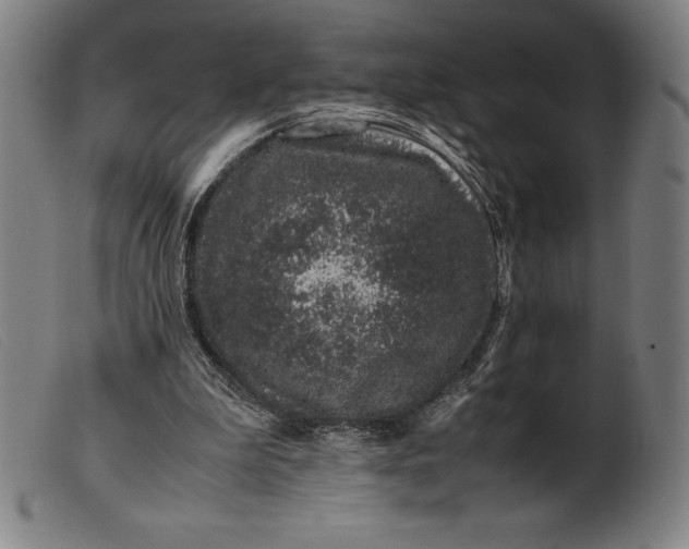 X0000099470199200805231838