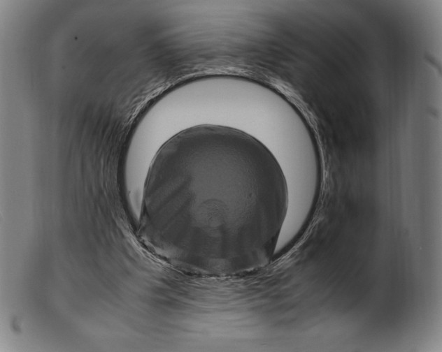 X0000099470201200805231838