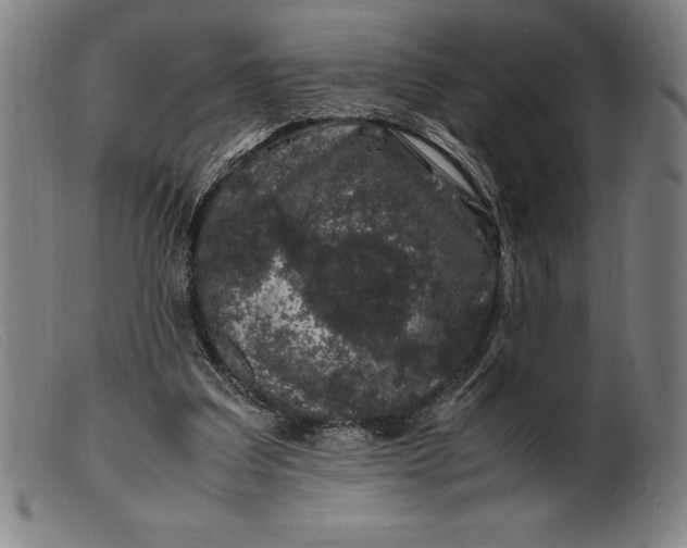 X0000099470203200805231838