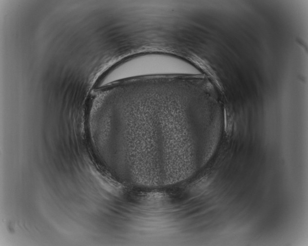 X0000099470204200805231838