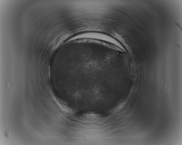 X0000099470205200805231838