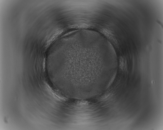 X0000099470206200805231838