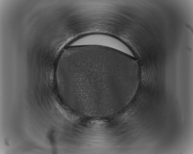 X0000099470208200805231838