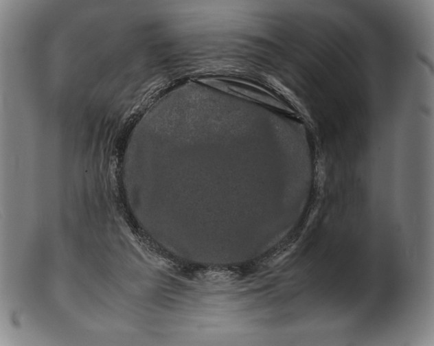 X0000099470209200805231838