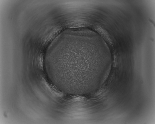 X0000099470210200805231838