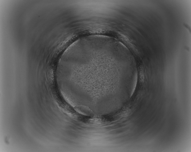 X0000099470211200805231838