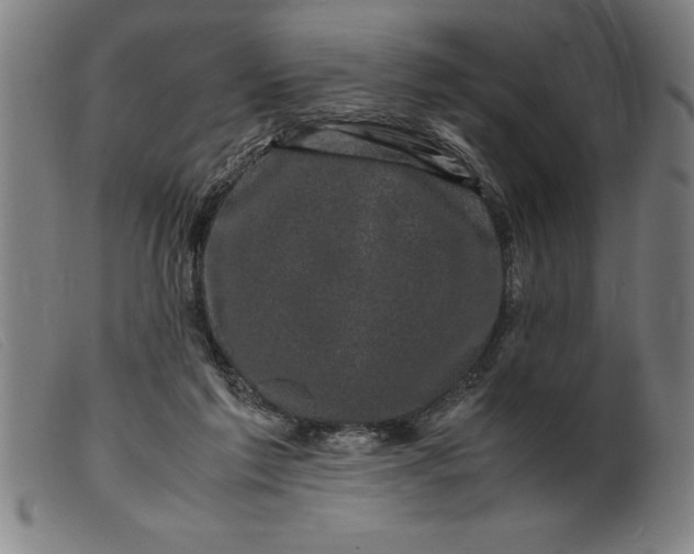 X0000099470213200805231838