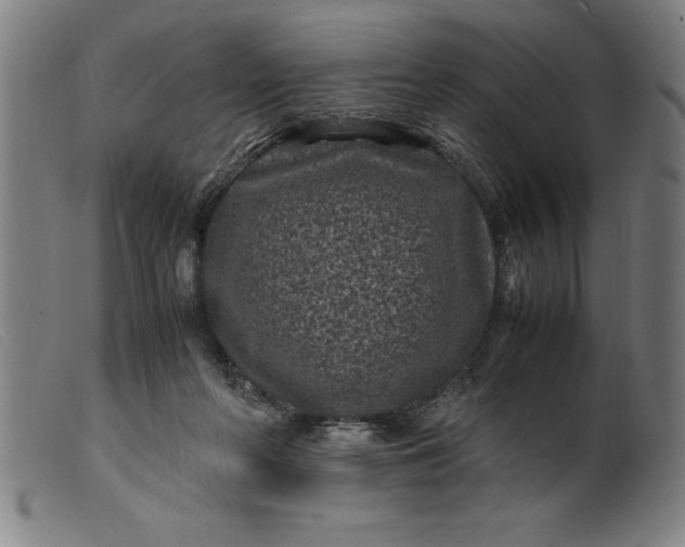 X0000099470214200805231838