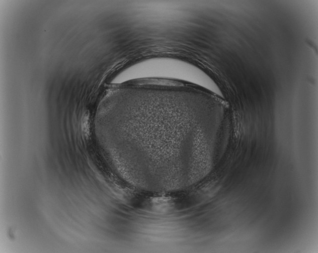 X0000099470216200805231838