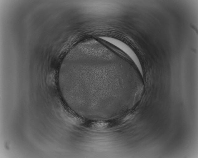 X0000099470217200805231838