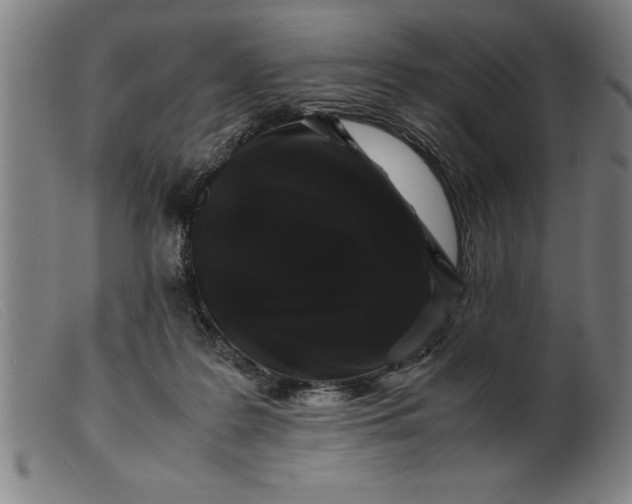 X0000099470219200805231838