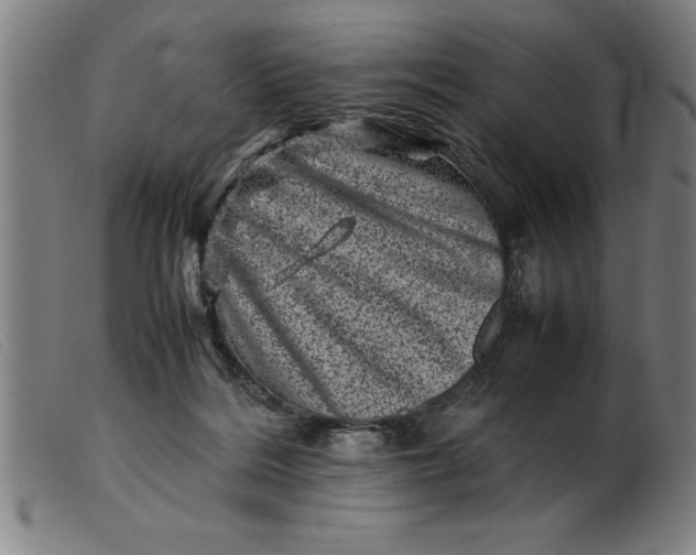 X0000099470220200805231838