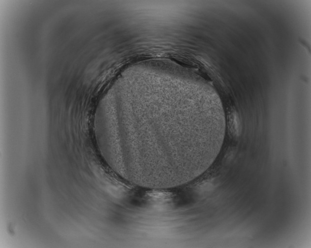 X0000099470221200805231838