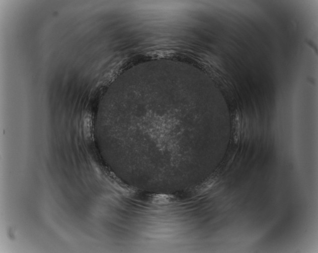 X0000099470222200805231838