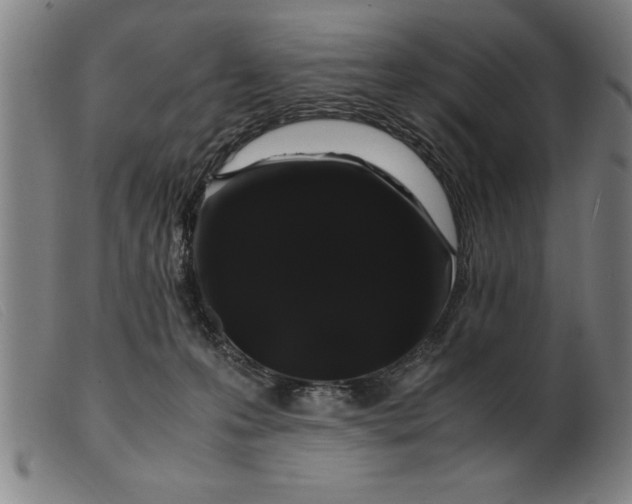 X0000099470223200805231838