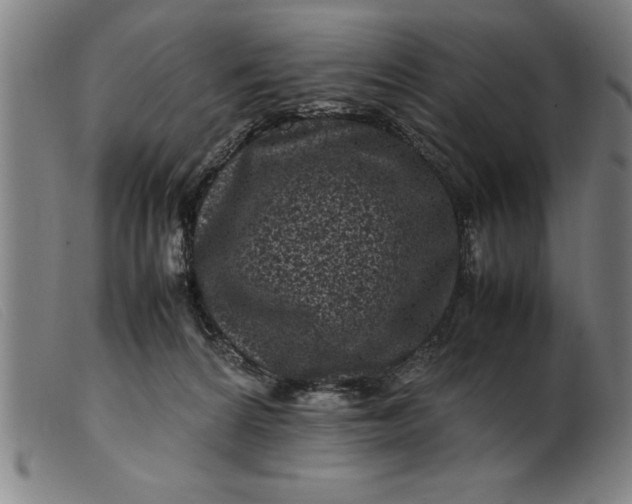 X0000099470224200805231838