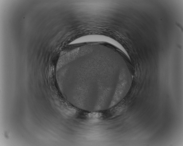 X0000099470225200805231838