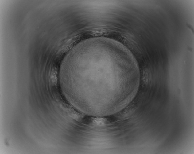 X0000099470226200805231838