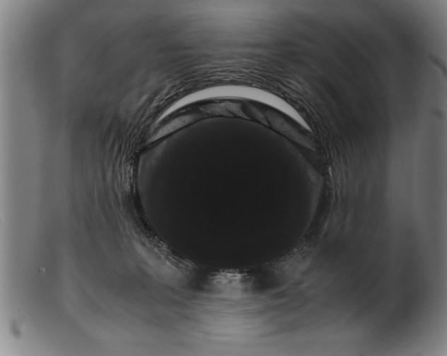 X0000099470227200805231838