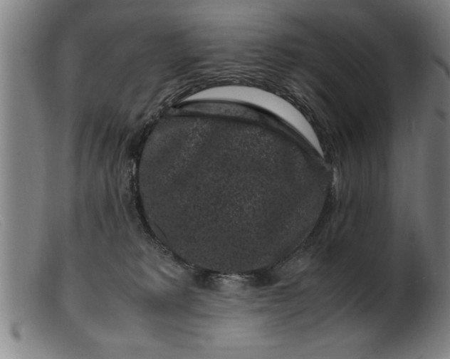 X0000099470229200805231838